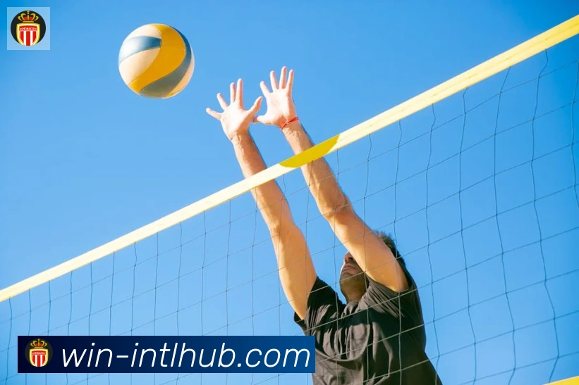 新葡京博彩官网服务体系