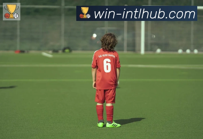 新葡京博彩官网荣誉