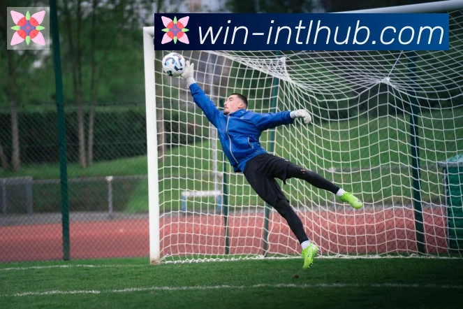 新葡京博彩官网荣誉