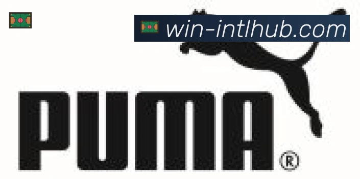 新葡京博彩官网合作伙伴